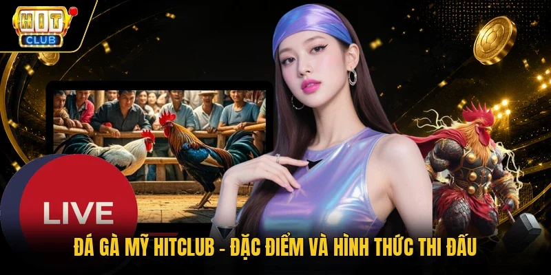 Đá gà Mỹ Hitclub