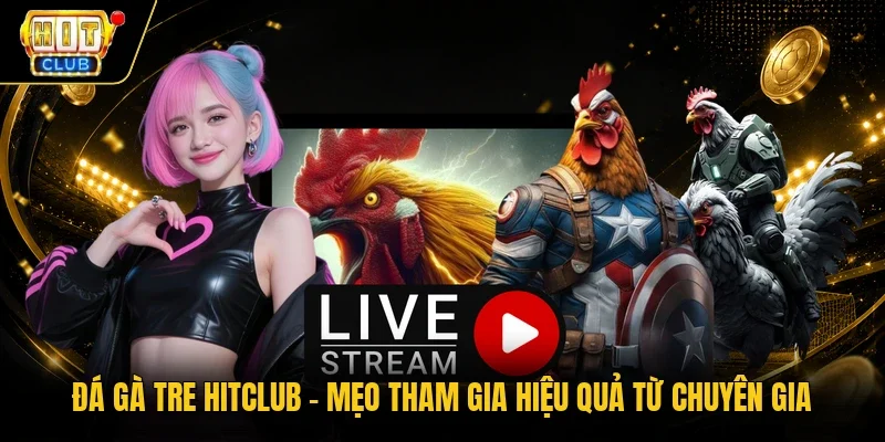 đá gà tre Hitclub