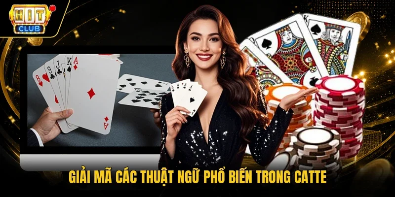 Giải mã các thuật ngữ phổ biến trong Catte