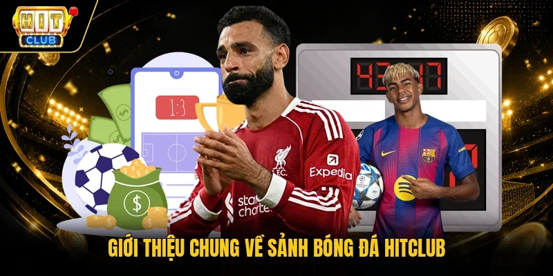 Giới thiệu chung về sảnh bóng đá Hitclub