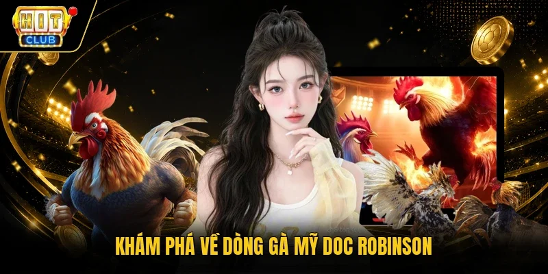Khám phá về dòng gà Mỹ Doc Robinson