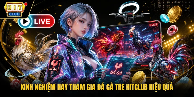 Kinh nghiệm hay tham gia đá gà tre Hitclub hiệu quả