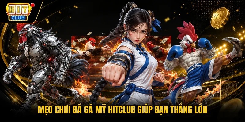 Mẹo chơi đá gà Mỹ Hitclub giúp bạn thắng lớn
