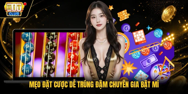 Mẹo đặt cược dễ trúng đậm chuyên gia bật mí