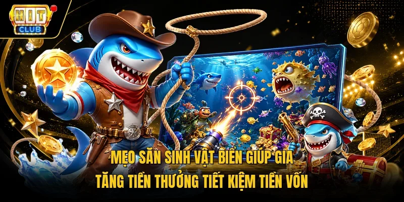 Mẹo săn sinh vật biển giúp gia tăng tiền thưởng tiết kiệm tiền vốn