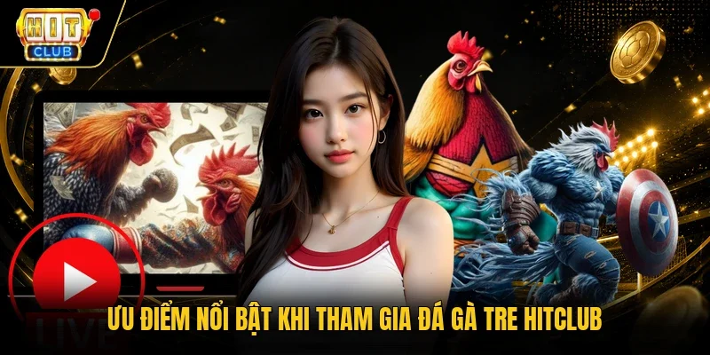 Ưu điểm nổi bật khi tham gia đá gà tre Hitclub